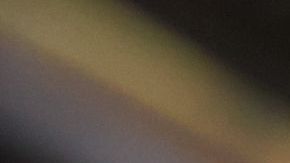 La víbora asomó la cabeza por la puerta de la lavadora.