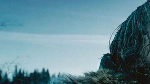 Leonardo DiCaprio en "The Revenant"