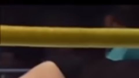 El Perro Aguayo murió sobre el ring.