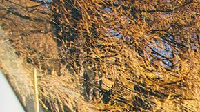 La alcaldesa de Chicago Lori Ligthfoot dijo que con estos cambios se trataba de fomentar una conducción más segura durante la pandemia de covid-19.