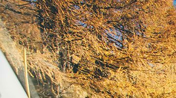 La alcaldesa de Chicago Lori Ligthfoot dijo que con estos cambios se trataba de fomentar una conducción más segura durante la pandemia de covid-19.