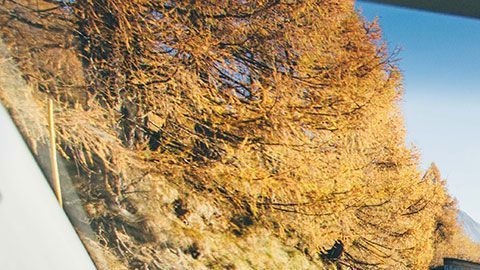 La alcaldesa de Chicago Lori Ligthfoot dijo que con estos cambios se trataba de fomentar una conducción más segura durante la pandemia de covid-19.