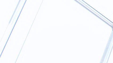 Un maestro cobra ahora $21 menos como media a la semana que en 1996./Shutterstock