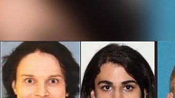 Los cuatro detenidos: Volz, Romero, Allen y Gnecco