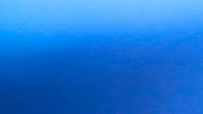 El jefe de seguridad supuestamente gustaba de toquetear a las personas en las partes íntimas.