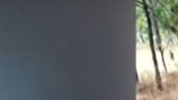 Enfrentamiento de cárteles deja 10 muertos en Michoacán.