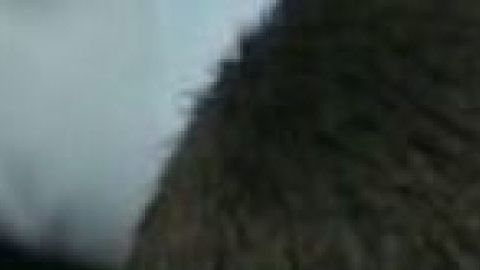 Mathew Borges en el tribunal