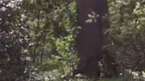 Un carpintero profesional hizo este sorprendente restaurante a escala súper detallista.