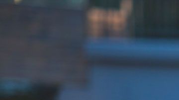 McDonald's no está muy convencido de que los productos vegetarianos ayuden a mejorar su servicio.