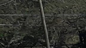 Ataque armado deja 5 muertos en Morelos