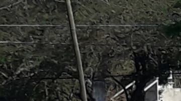 Ataque armado deja 5 muertos en Morelos