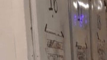 Morgue de Tijuana las escabrosas imagenes que demuestran la violencia que all se vive