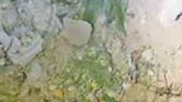 Mujeres fosa clandestina Ciudad Juárez