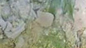 Mujeres fosa clandestina Ciudad Juárez