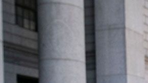 Musk dijo que un hombre fue a Tailandia "para conseguirse una esposa de 12 años".