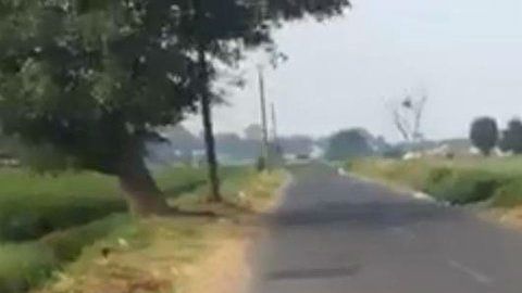 Cuerpo junto a gallo negro