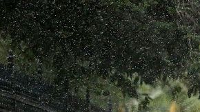 No cesan las lluvias en el centro y sur de EEUU.