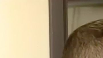 Efraín Ortiz, exalumno de la escuela.