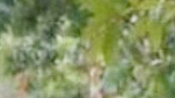 Matan a papá de huachicolero en Tabasco