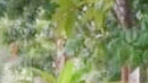 Matan a papá de huachicolero en Tabasco