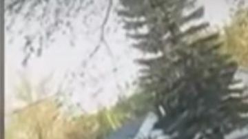 Imagen de la paliza.