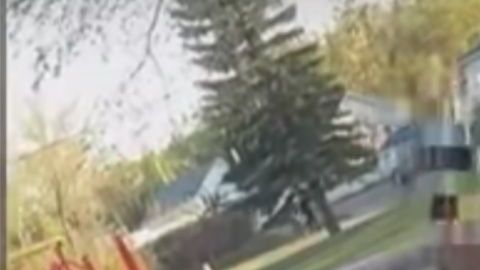 Imagen de la paliza.