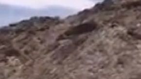 En tres días el Sector Yuma suma 1,500 inmigrantes detenidos.