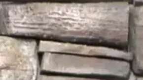 Pedro Sola de Ventaneando.