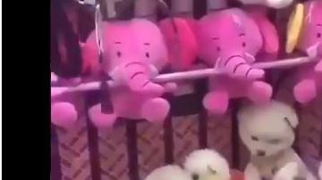 Los perritos se ven muy nerviosos cuando baja la garra mecánica.