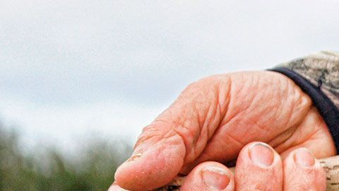 Podrías ganar una buena cantidad de billetes haciendo lo que más disfrutas.