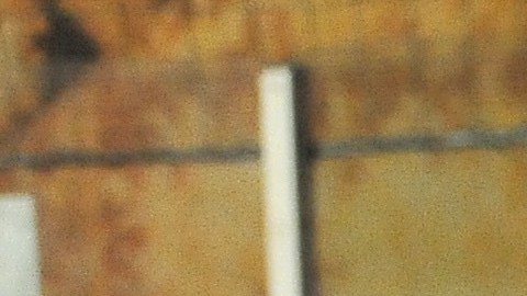 El campeonato de porteros infantiles es el domingo 23 de junio en el YMCA de la calle Western. (Javier Quiroz / La Raza)