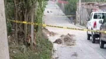 Purga interna de la MS 13