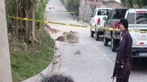 Purga interna de la MS 13