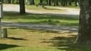 La empleada justificó su acto argumentando que no habían hecho reservación.