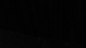 Raúl Jiménez es el máximo anotador del Wolverhamton Wanderers con 17 goles en todas las competencias