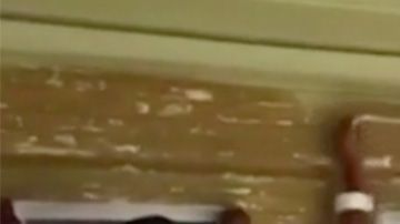 Los inmigrantes le dieron una mano a una pareja de ancianos.