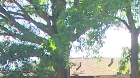 El rancho donde el niño disparó a su hermano.