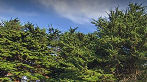 La calle Prague cerca de McLaren Park.