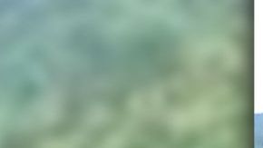 El helicóptero de la Marina mexicana colaboraba en labores de extinción de incendios.