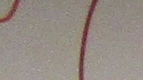 Brandon Sedin con su premio de lotería.