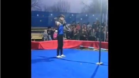 No se sabe si el empleado del circo sobrevivió a este hecho.