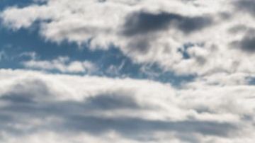 shutterstock_1048867922