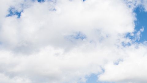 shutterstock_1060771616