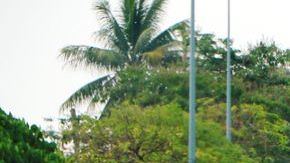 shutterstock_1061920661