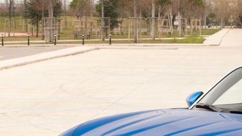 shutterstock_1100019167