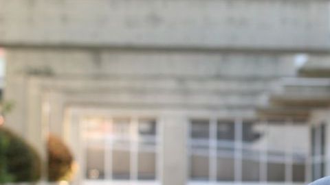 shutterstock_1142062364