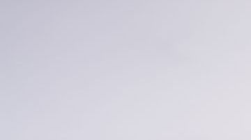 shutterstock_1151035832