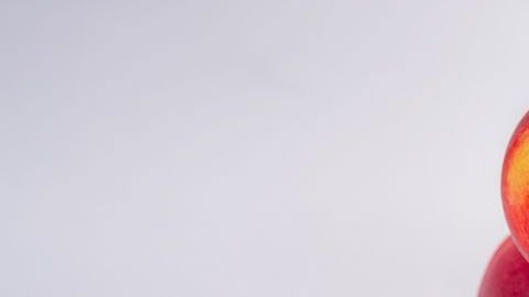 shutterstock_1151035832