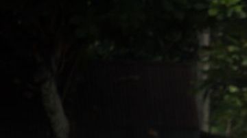 shutterstock_1174905532