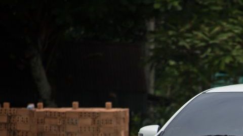 shutterstock_1174905532